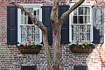 Click to see Y-JG-CANON-R8-0294.JPG