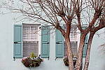 Click to see Y-JG-CANON-R8-0306.JPG