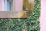 Click to see Y-JG-CANON-R8-0322.JPG