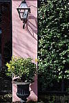 Click to see Y-JG-CANON-R8-0325.JPG