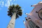 Click to see Y-JG-CANON-R8-0354.JPG