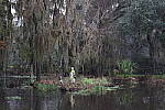 Click to see Y-WB-R8-IMG_0013.JPG