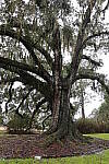 Click to see Y-WB-R8-IMG_0030.JPG