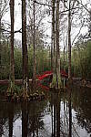 Click to see Y-WB-R8-IMG_0050.JPG