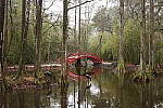 Click to see Y-WB-R8-IMG_0059.JPG