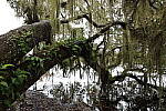 Click to see Y-WB-R8-IMG_0087.JPG