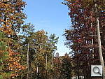Click to see S110PINE-DPP-6.JPG
