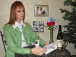 Click to see S120INBFP1.JPG