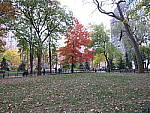 Click to see YIMG_0085.JPG