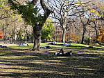 Click to see YIMG_0155.JPG