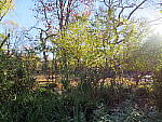 Click to see YIMG_0289.JPG