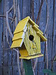 Click to see YIMG_0298.JPG