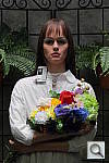 Click to see SL1OUTBCON1.JPG