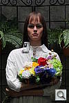 Click to see SL1OUTBCON3.JPG