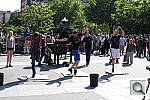 Click to see YIMG_0783.JPG