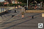 Click to see YIMG_0917.JPG
