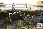 Click to see YIMG_0976.JPG