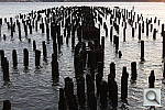 Click to see YIMG_1015.JPG