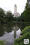 Click to see YIMG_1113.JPG