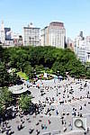 Click to see YIMG_1558.JPG