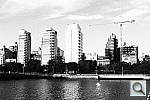 Click to see YIMG_1559.JPG