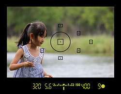 Canon SL1 review -- Viewfinder