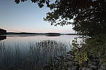 Click to see Y-MG-1568.JPG