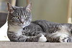 Click to see Y-MG-1656.JPG
