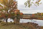 Click to see Y-MG-1703-MOD.JPG