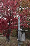 Click to see Y-MG-1750-HDR-OFF.JPG