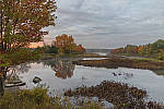 Click to see Y-MG-1862-MOD.JPG
