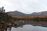 Click to see Y-MG-1996.JPG