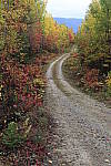Click to see Y-MG-2131.JPG