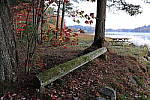 Click to see Y-MG-2221-FLASH-OFF.JPG