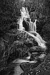 Click to see Y-MG-2409-PIC-STYLE-MONOCHROME.JPG