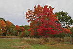 Click to see YIMG-1741-HDR-ON.JPG