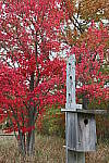 Click to see YIMG-1751-HDR-ON.JPG