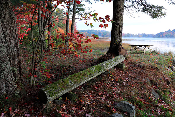 Canon SL2 Review: Field Test -- Gallery Image