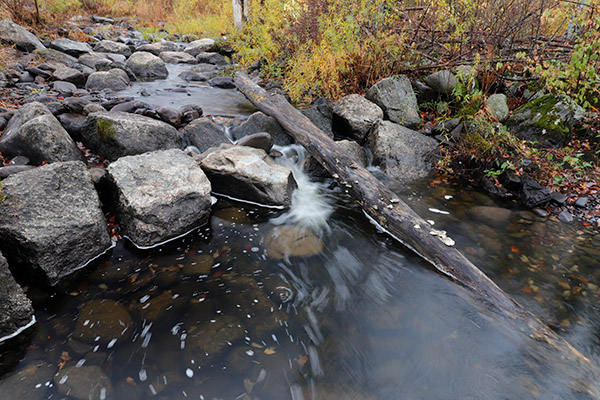 Canon SL2 Review: Field Test -- Gallery Image