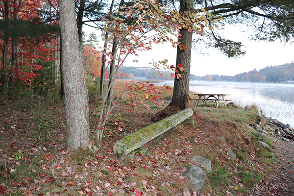Canon SL2 Review: Field Test -- Gallery Image