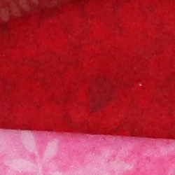 100% crop from Canon SL2 test image taken at ISO 1600
