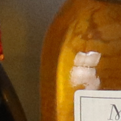 100% crop from Canon SL2 test image taken at ISO 1600