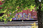 Click to see YIMG_3537.JPG
