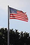 Click to see YIMG_3552.JPG