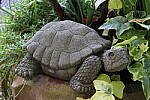 Click to see YIMG_3576.JPG