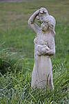 Click to see YIMG_3669.JPG