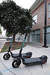 Click to see YIMG_3964.JPG