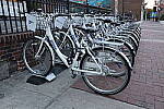 Click to see YIMG_3973.JPG