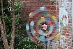 Canon SL3 field test photo