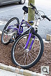 Click to see YIMG_0534.JPG
